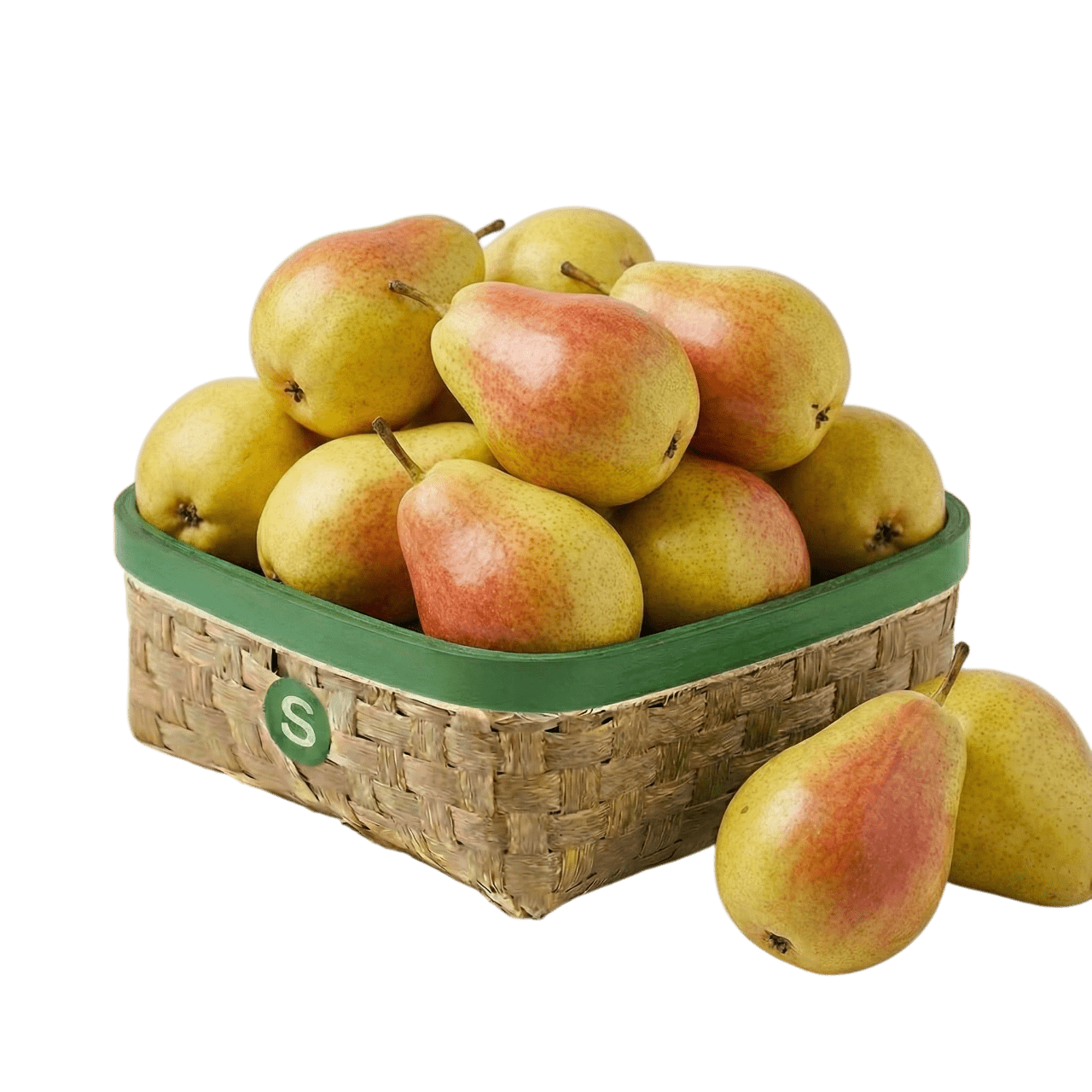 SANTA (MARİA) ARMUT KG