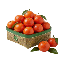 MURCOTT MANDALİNA KG