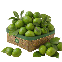 LİME (MİSKET) LİMON