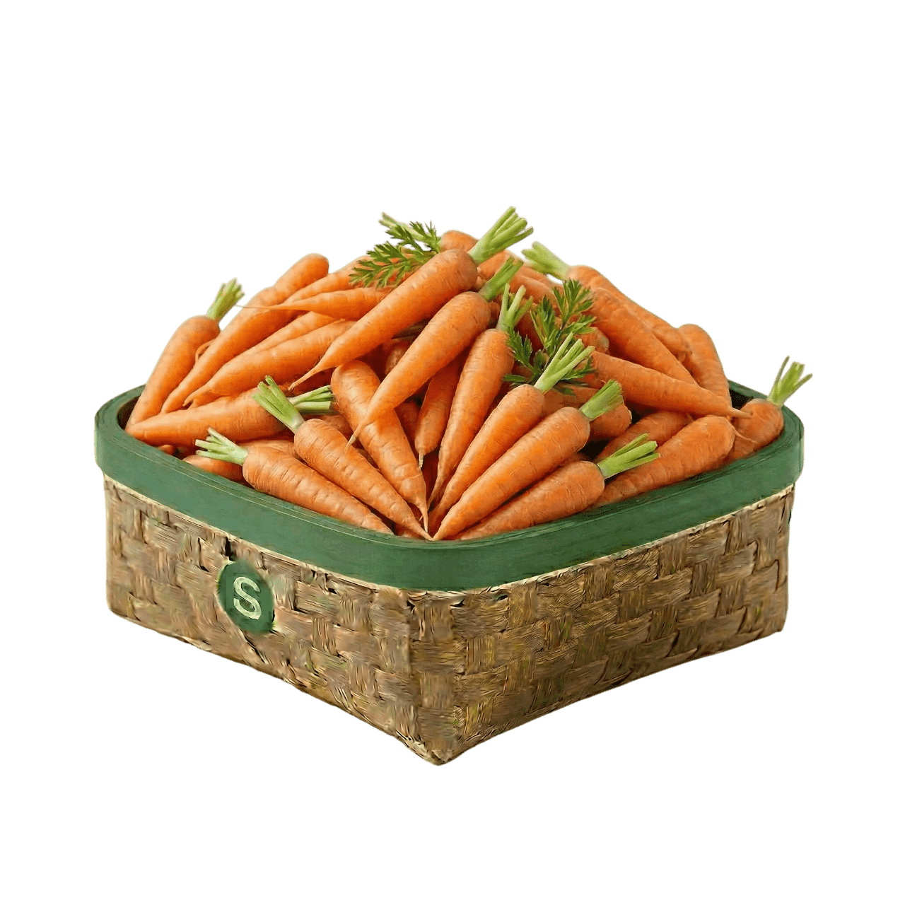 HAVUÇ KG