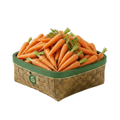HAVUÇ KG