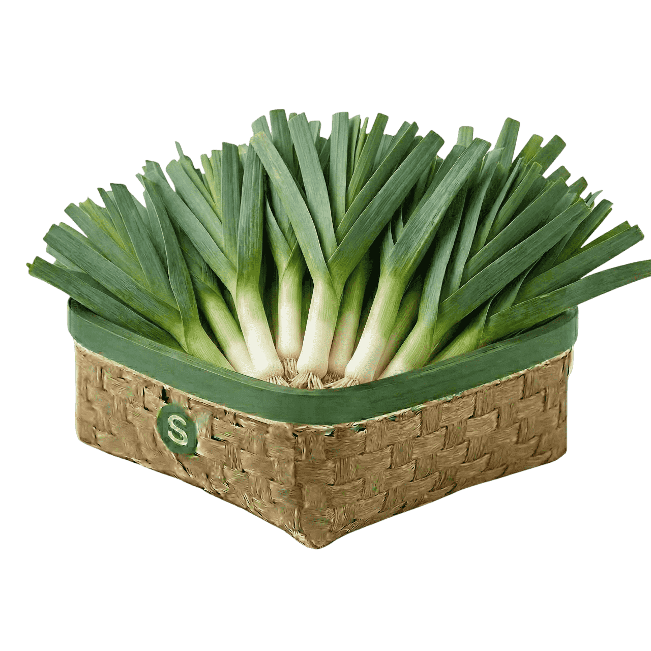 PIRASA KG