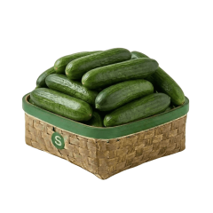 SALATALIK KG