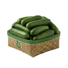 SALATALIK KG