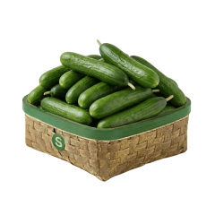 SİLÖR SALATALIK KG