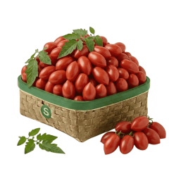 VERTY OVAL KOKTEYL DOMATES KG