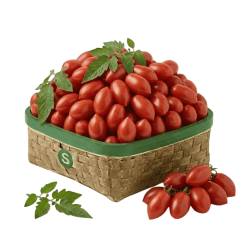 VERTY OVAL KOKTEYL DOMATES KG