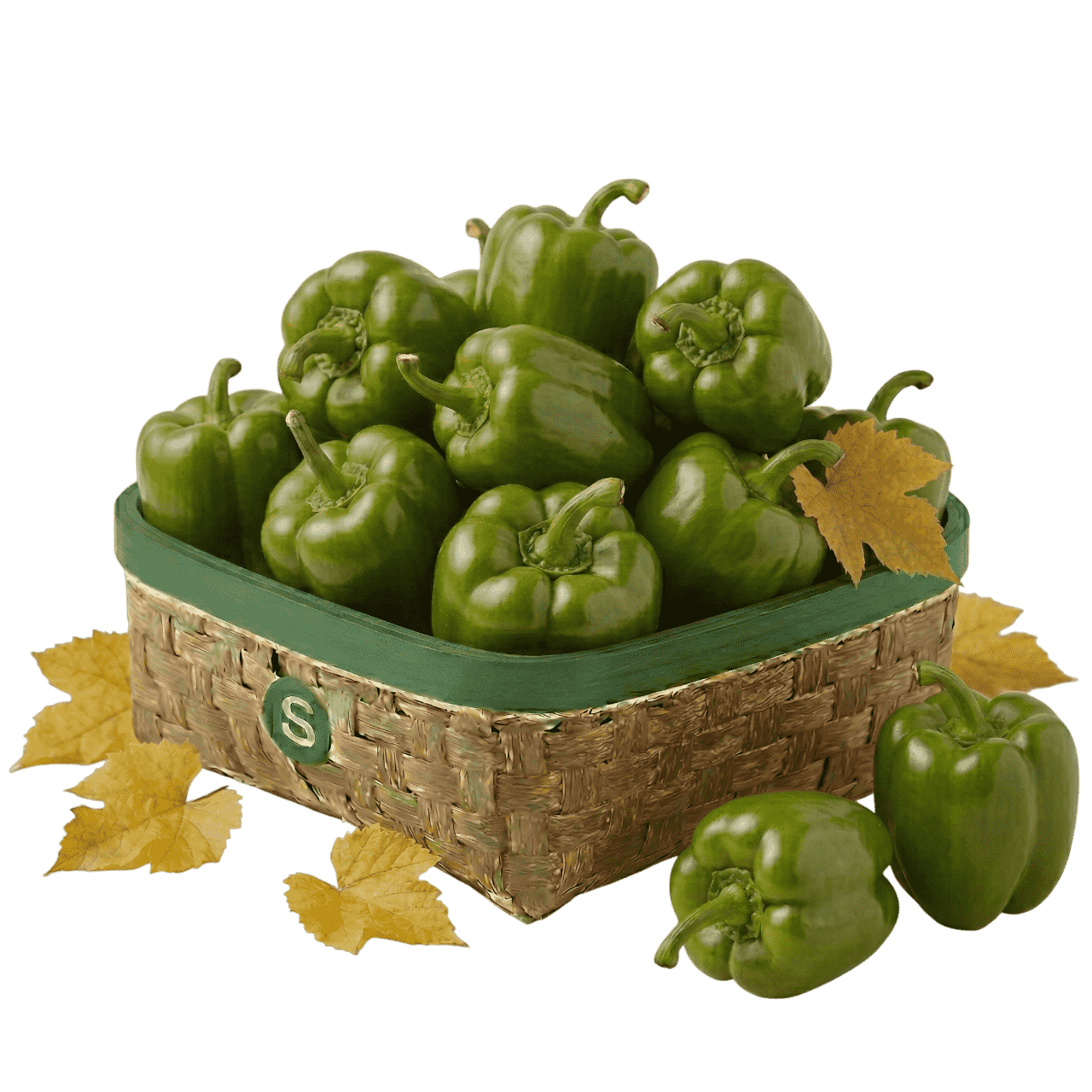 YEŞİL DOLMALIK BİBER KG