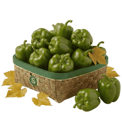 YEŞİL DOLMALIK BİBER KG